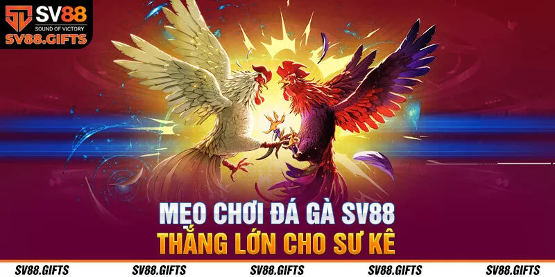 Khám Phá Đá Gà SV88 – Bí Quyết Và Chiến Lược Thắng Lớn